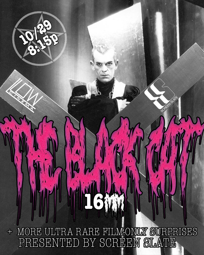 Black Cat