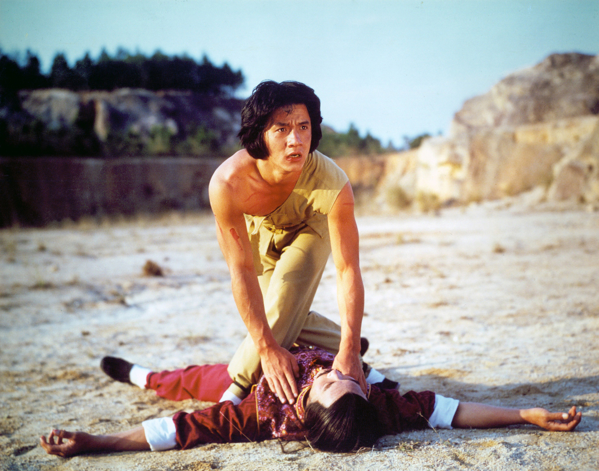 Snake in the Eagle's Shadow (1978)