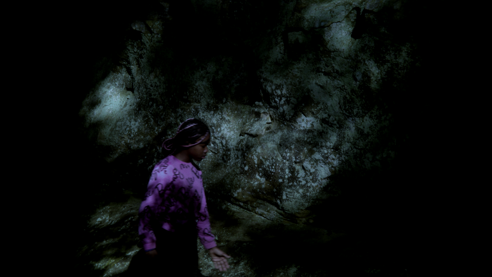 The Creatures of Darkness (Lisa Malloy, Ray Whitaker, 2026, 15min)