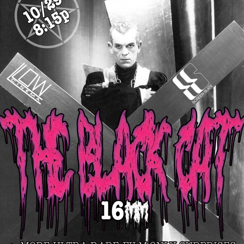 Black Cat